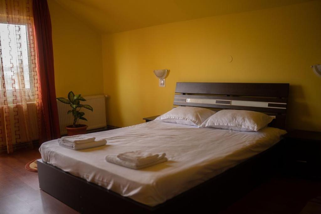 Casa Ramona Appartement Turda Buitenkant foto