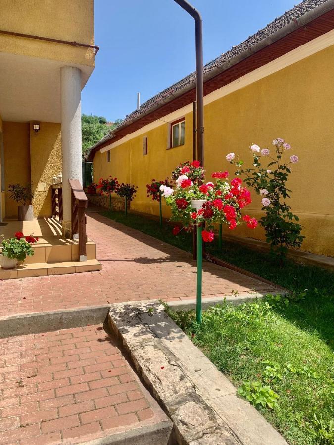 Casa Ramona Appartement Turda Buitenkant foto